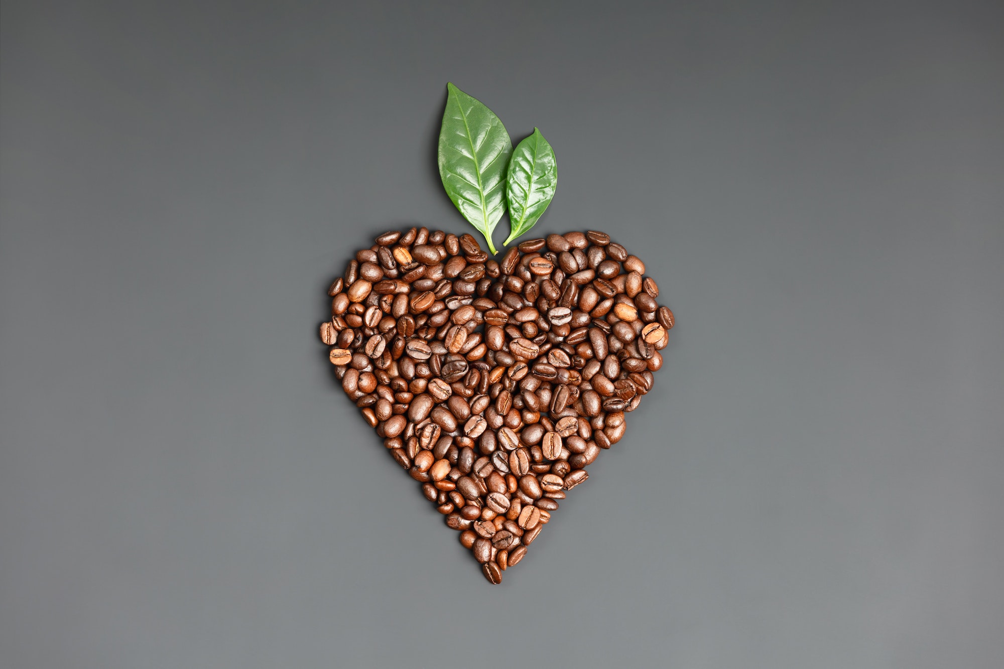 Coffee beans in shape of heart on dark background